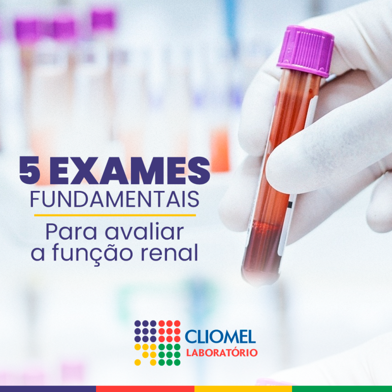 5 EXAMES FUNDAMENTAIS PARA AVALIAR A FUNÇÃO RENAL 